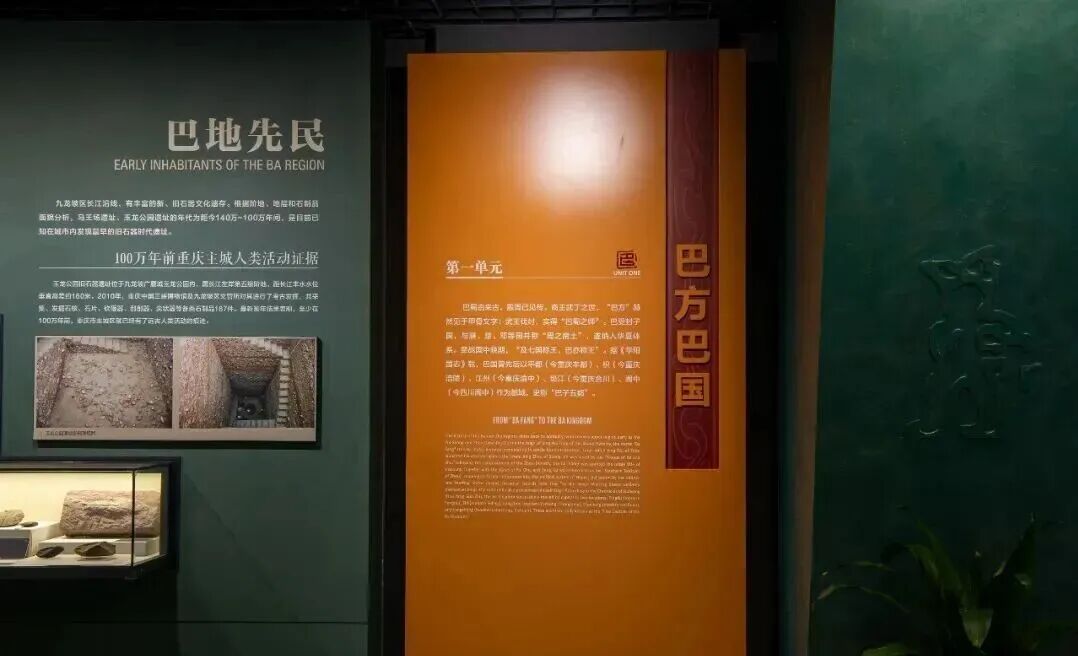 1772248786448193.jpg 1772248786448193.jpg